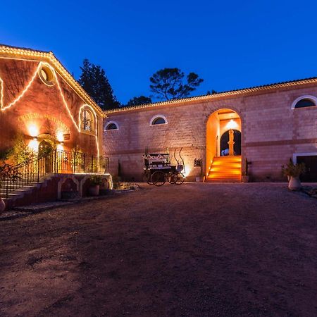 Chateau De Saint Martin Taradeau Εξωτερικό φωτογραφία