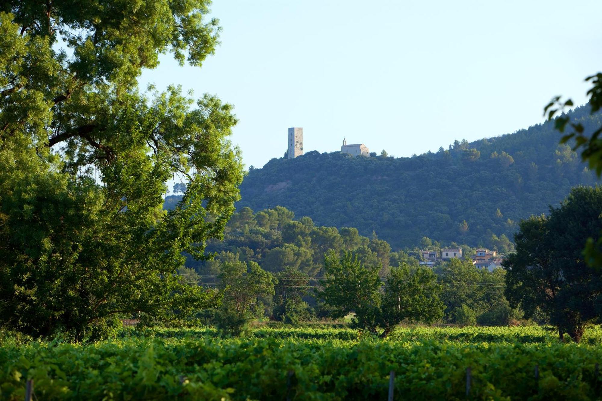 Chateau De Saint Martin Taradeau Εξωτερικό φωτογραφία