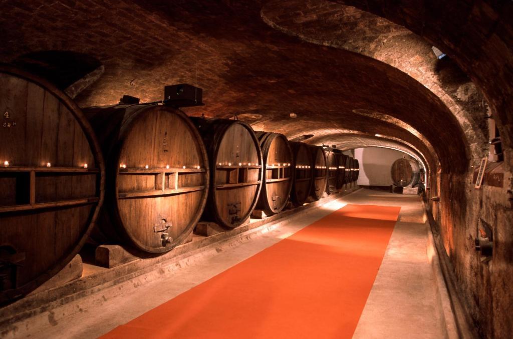 Chateau De Saint Martin Taradeau Εξωτερικό φωτογραφία