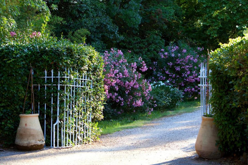 Chateau De Saint Martin Taradeau Εξωτερικό φωτογραφία